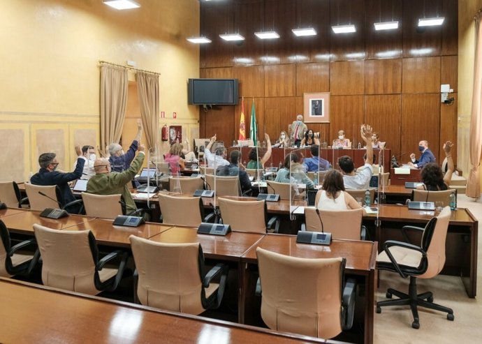 Archivo - Imagen de archivo de una reunión de la Diputación Permanente del Parlamento de Andalucía, de agosto de 2020.