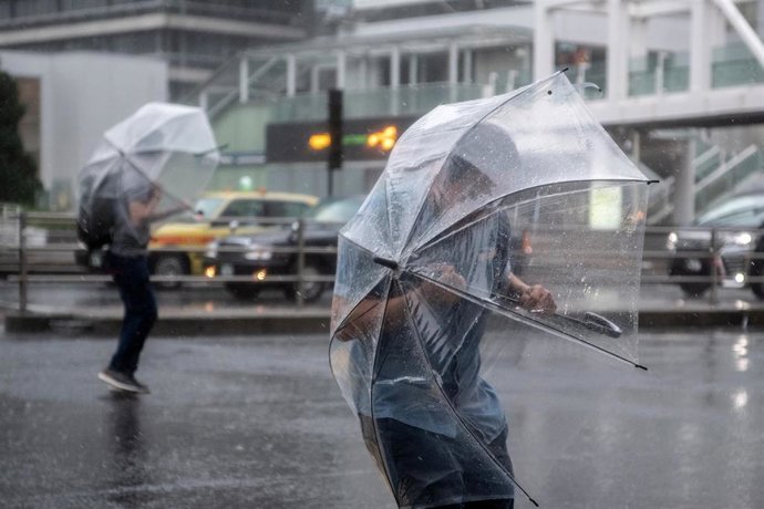 Archivo - La gente se refugia bajo paraguas del viento y la lluvia mientras cruzan una carretera cerca de la estación de tren de Shinjuku.