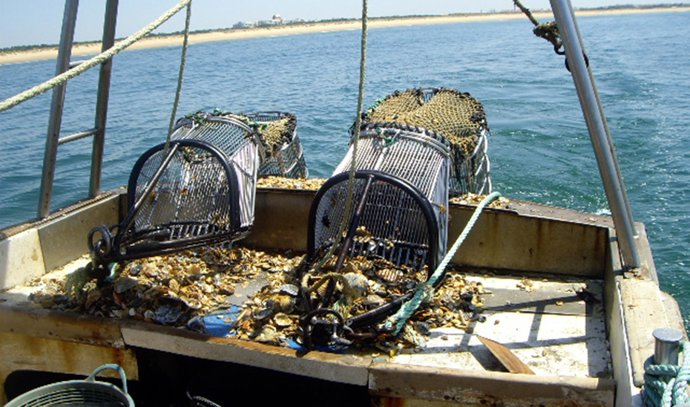 Archivo - Pesca, barcos pesqueros.