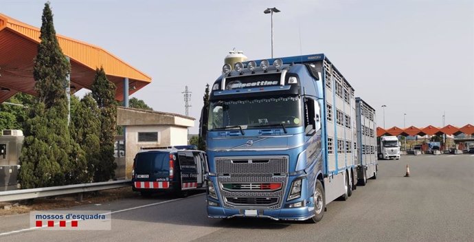 Els Mossos d'Esquadra van detenir aquest dimecres a La Jonquera (Girona) a un camioner que presumptament imputava les seves hores de conducció a una altra persona mitjanant l'ús d'una targeta que no era la seva.