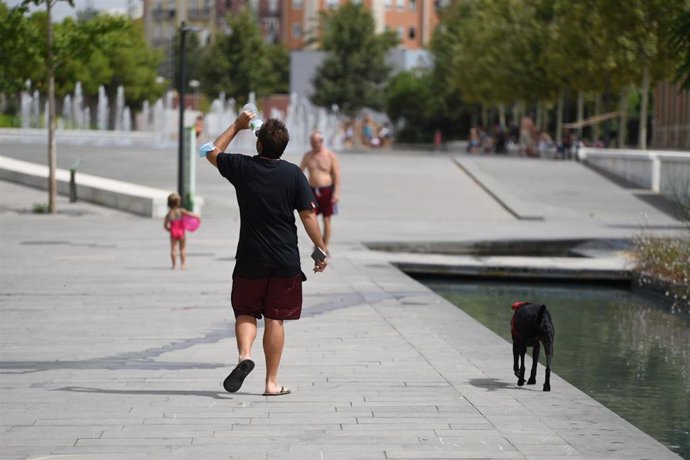 Un hombre pasea con su perro en el Parc Central, a 12 de agosto de 2021, en Valencia, Comunidad Valenciana (España). Como consecuencia de la ola de calor que comenzó ayer en toda España, la Comunitat Valenciana alcanzará durante la jornada de este jueve