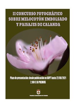 El II Concurso sobre Melocotón Embolsado y Paisajes de Calanda tiene abierto el plazo hasta el 22 de agosto. .