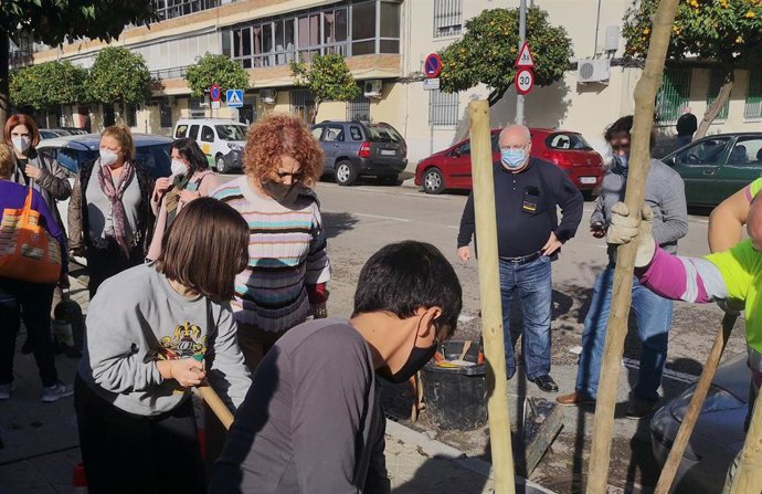 Foto del parque Alcosa