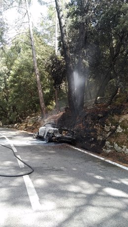 Un coche calcinado que ha originado un pequeño incendio en la Serra de Tramuntana.
