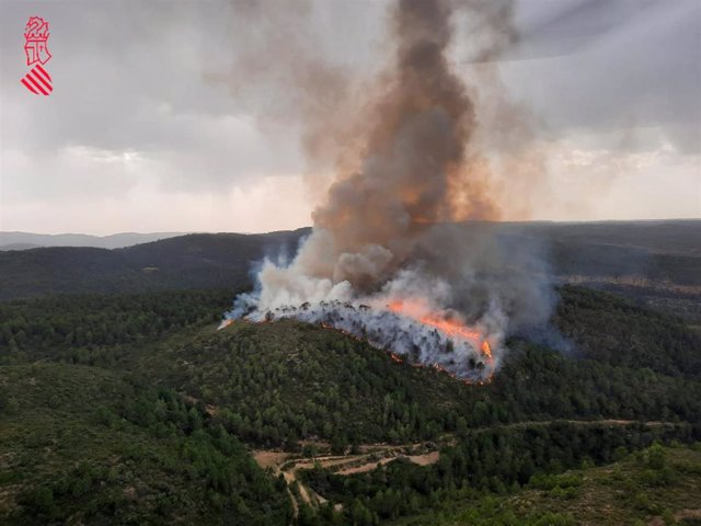 Incendio forestal declarado este sábado en Bicorp (Valencia)