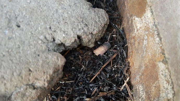 Colilla mal apagada, origen del incendio de Rubiá