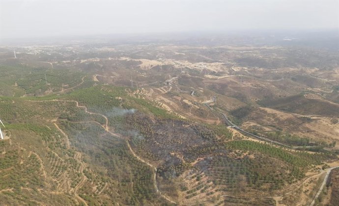 Fotografía del incendio de El Granado.