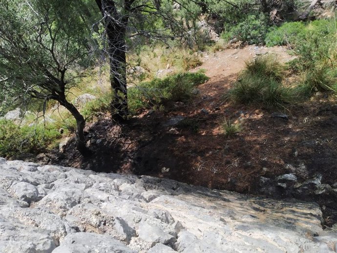 Agentes de Medio Ambiente y el Seprona investigan las causas de tres pequeños incendios declarados en Valldemossa