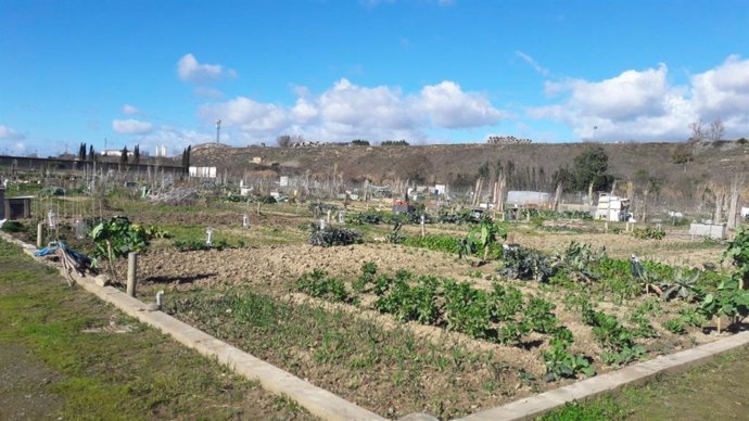 Huertos urbanos de ocio de la fase II Camino de Santiago