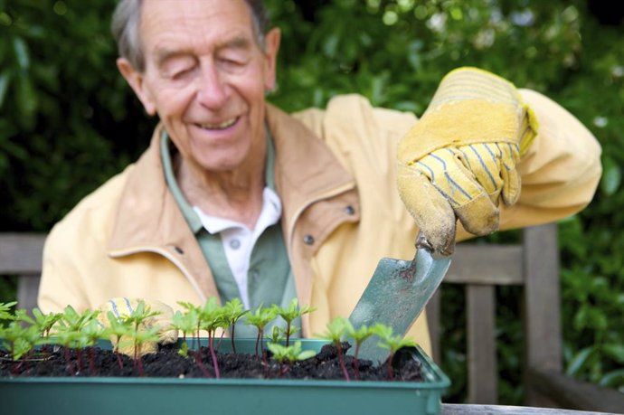 Archivo - La jardinería mantiene activo el cerebro y ayuda a mantener la musculatura de los mayores
