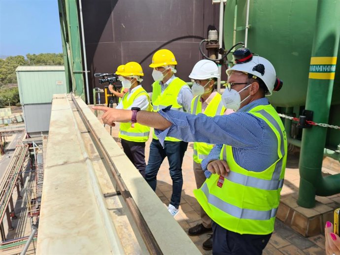 El vicepresidente del Govern, Juan Pedro Yllanes; el director general de Endesa en Baleares, Martí Ribas; el director general de Energía y Cambio Climático, Pep Malagrava, y el director de la central de Es Murterar, Jordi Jaume, en la central de Alcúdia.