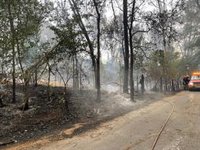 Controlado el incendio forestal de Batres y los Bomberos seguirán trabajando esta noche para su extinción