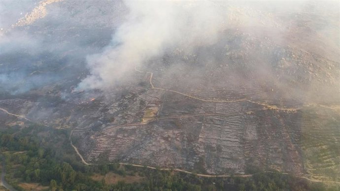 Vídeo de la noticia