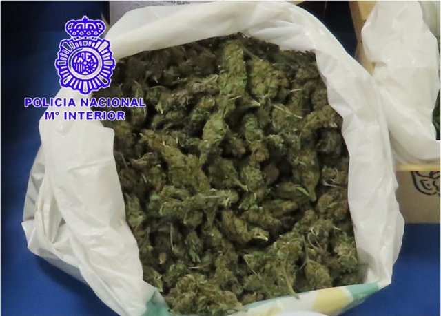 Cannabis intervenido al matrimonio y su hijo en la calle Rastrojo de Valladolid.
