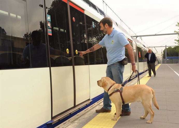 Archivo - Adiestrador de perro guía para la Fundación ONCE del perro guía que en 2020 entregó 131 canes a personas ciegas.