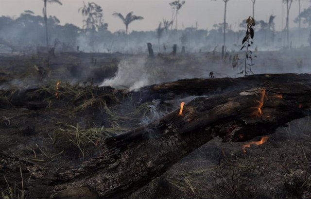 Incendio en la Amazonia