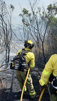 Controlado el incendio de Bonares (Huelva) tras afectar a unas 30 hectáreas