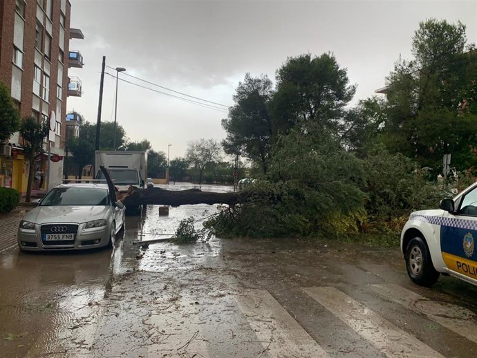 Daños provocados por la tormenta caída en Alcázar.