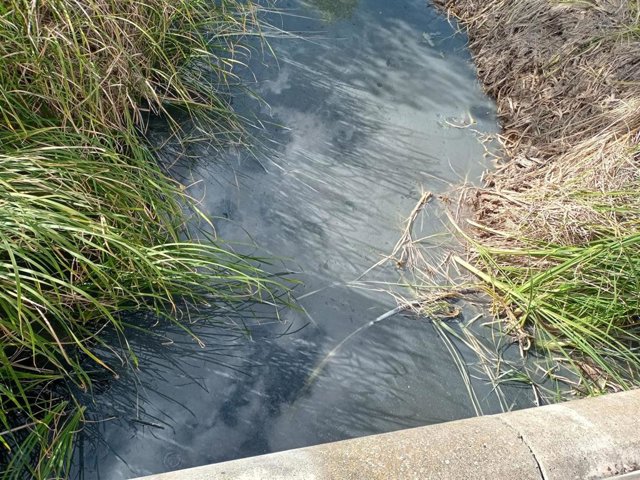 Estado del arroyo en Aldeamayor de San Martín.