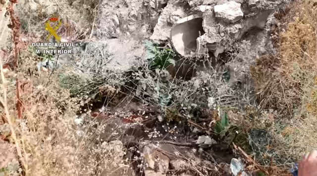 Vertido de un matadero al arroyo de Valdecañas