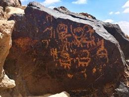 Analizan cómo la colonización biológica de las rocas afecta a la conservación de los petroglifos del desierto del Negev (Israel)