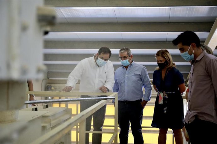 El presidente del PP en C-LM, Paco Núñez, en una explotación ganadera.