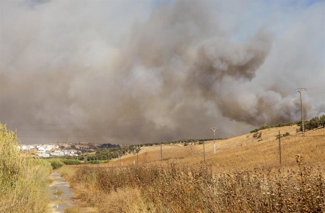 Incendio de Lucena del Puerto