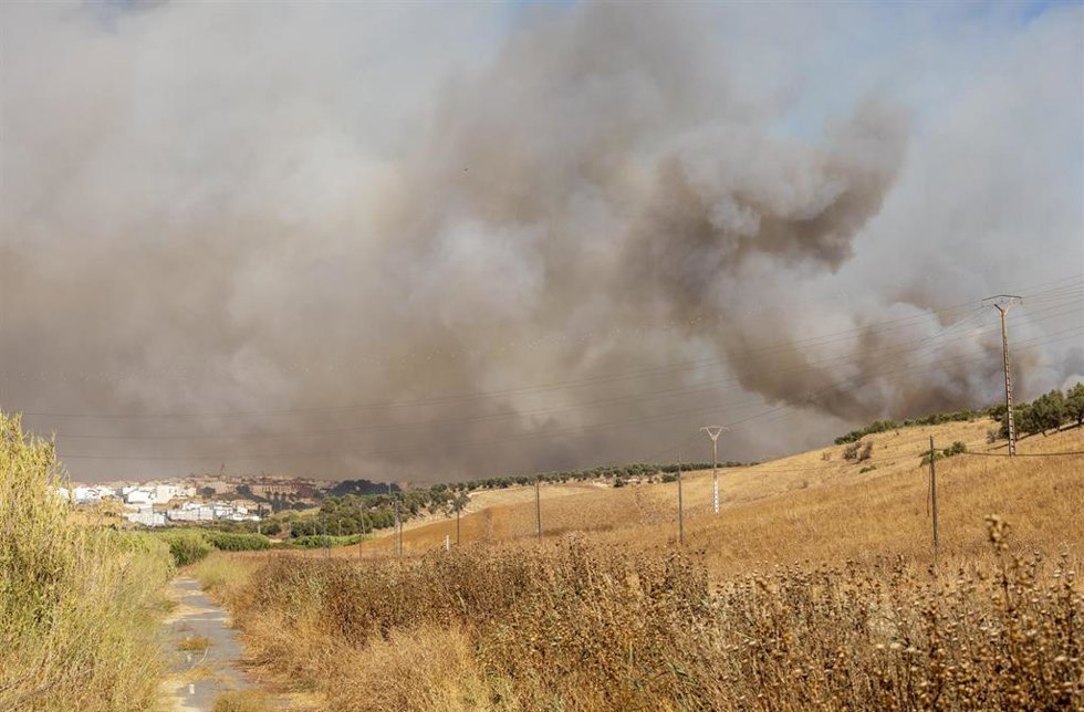 Incendio de Lucena del Puerto