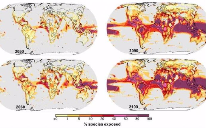 Archivo - Proyección de calentamiento global