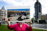 HRW desconfía de las "palabras vagas" de los talibán y pide compromisos concretos sobre DDHH