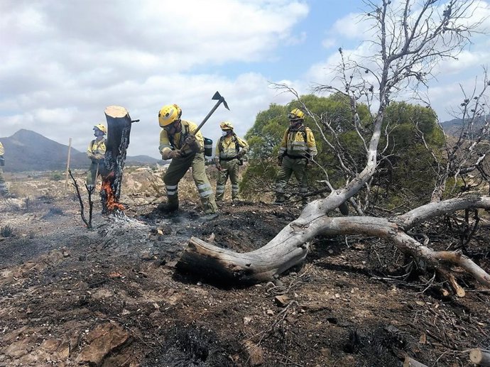 Imágenes tomadas por la Unidad de Defentra los Incendios Forestales de la Dirección General del Medio Natural y por el helicóptero de coordinación de la Dirección General de Seguridad Ciudadana y Emergencias