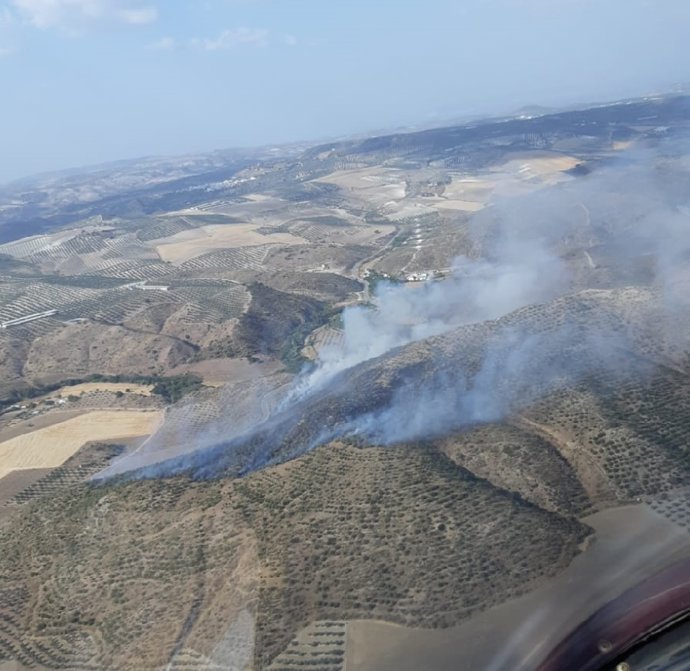 Incendio declarado en una paraje de El Saucejo