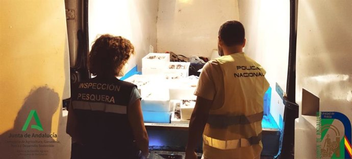 Intervención en Huelva de la Inspección Pesquera y la Policía Autonómica  de pijotas o merluza inmadura..