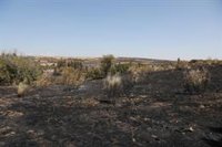 Extinguido el incendio forestal de Batres cinco días después de su inicio