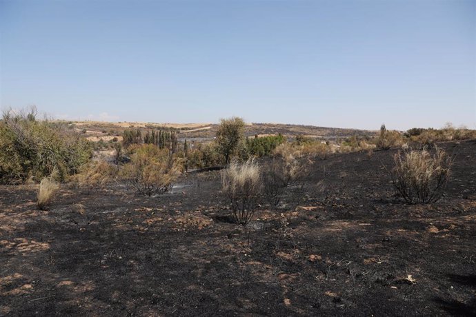 Una de las zonas dañadas por el incendio, a 19 de agosto de 2021, en Batres, Madrid, (España). 