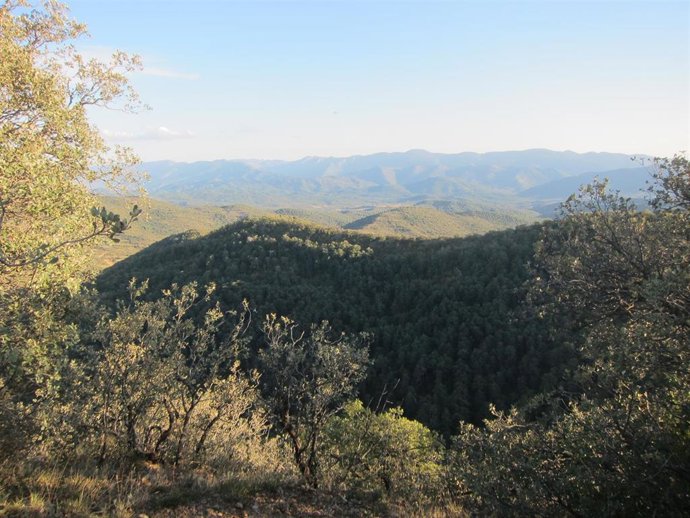 Archivo - Vistas del Pirineo oscense.