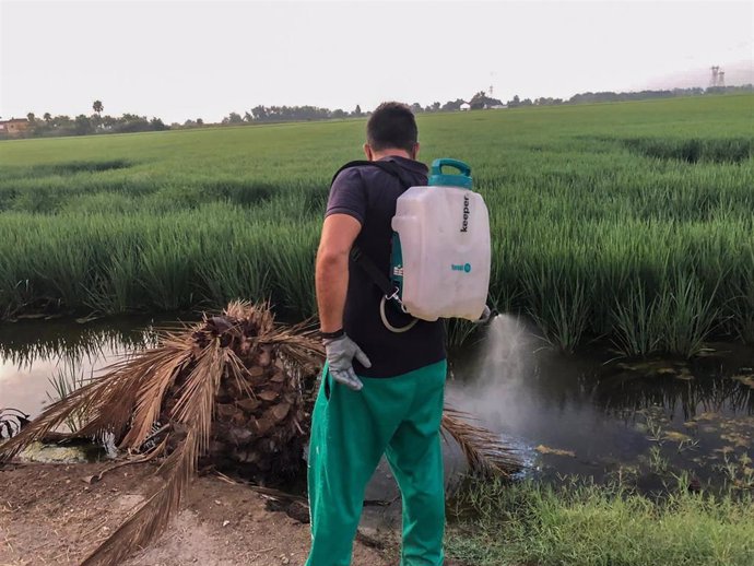 Labores de fumigación por encargo del Ayuntamiento de La Puebla del Río