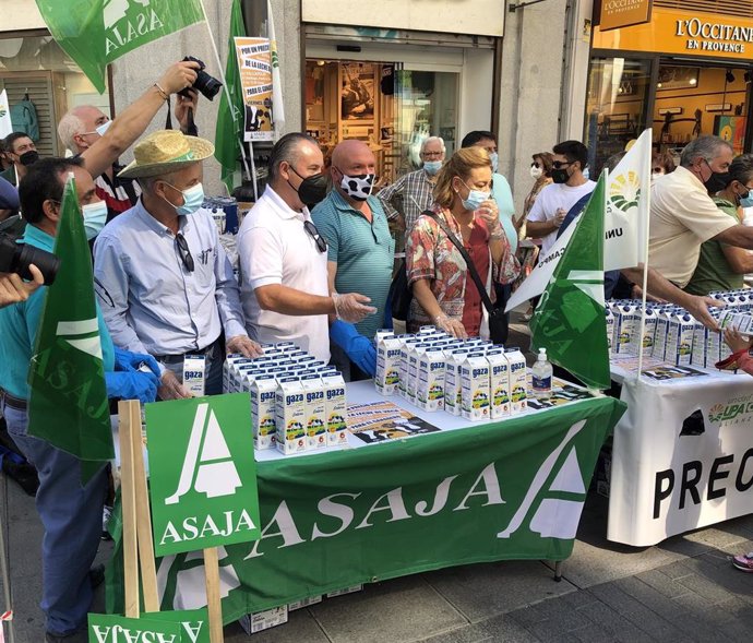 La Alianza UPA-COAG y Asaja reparten leche de forma gratuita en la calle Santiago de Valladolid.