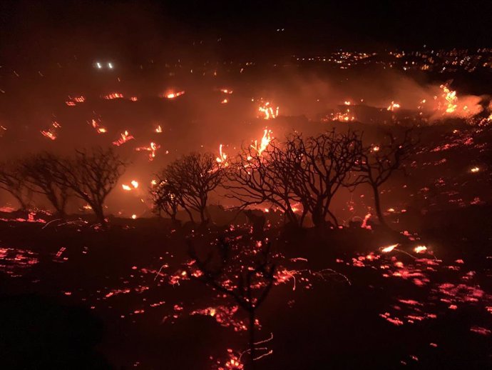 Incendio forestal El Paso, en La Palma
