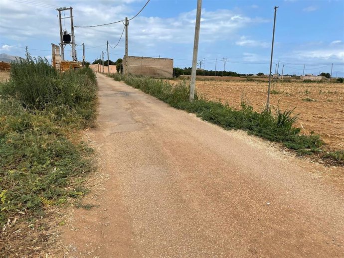 Camino de Sa Pobla.