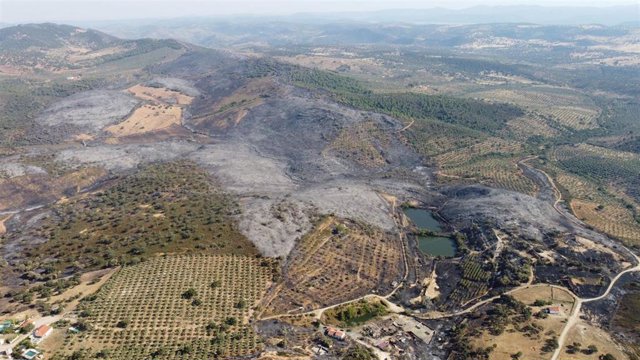 Incendio forestal en el término de Alcaracejos con los olivares de sierra como barrera.