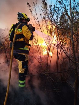 Un bombero del Ibanat actúa en el incendio forestal de Ses Jonqueres Veres, en Sa Pobla.