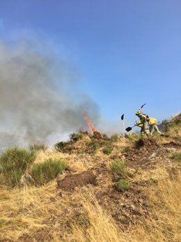 Continúan las labores en el Monte San Lorenzo