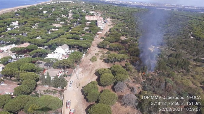 Incendio declarado en el témino municipal de Moguer.