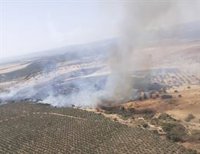 Extinguido el incendio forestal declarado el sábado en un paraje de Guadalcázar (Córdoba)