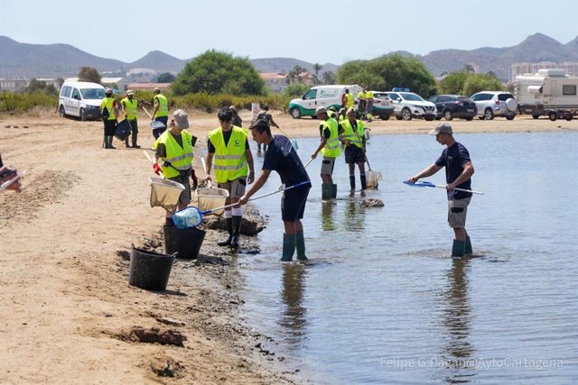 Archivo - Vuelven a abrir al baño tras su limpieza seis de las playas afectadas por la aparición de peces muertos en el Mar Menor