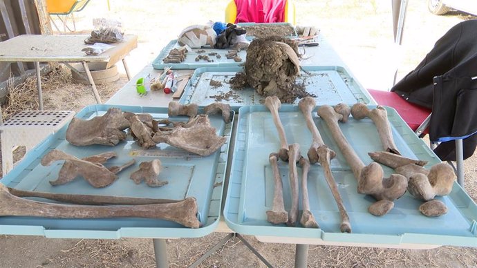 Restos humanos exhumados en el pozo y la bodega de 'Los Alfredos' en Medina del Campo (Valladolid).
