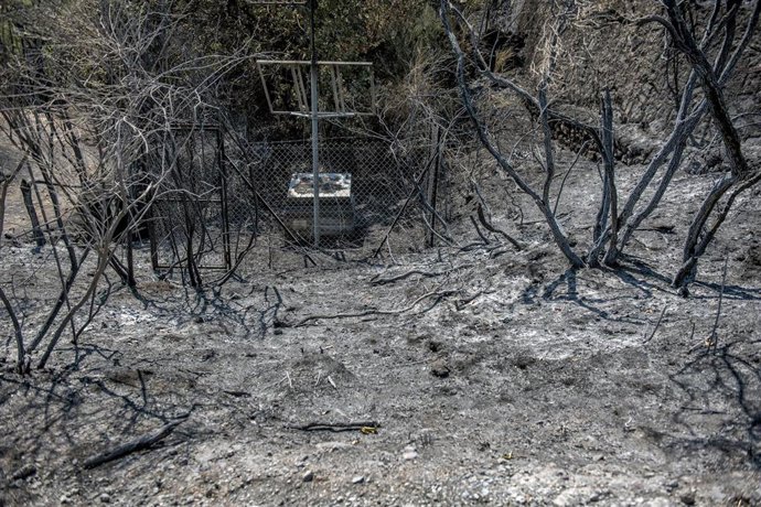 Daños por un incendio forestal en Italia