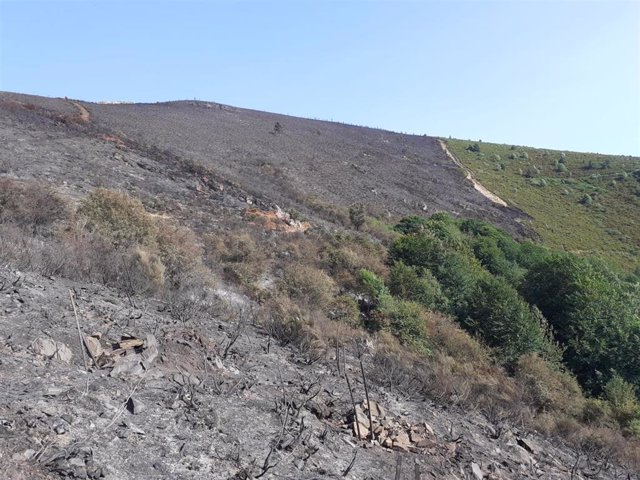 Situación en la que ha quedado el monte que se incendió el pasado sábado en Posadas y Azárrulla en La Rioja