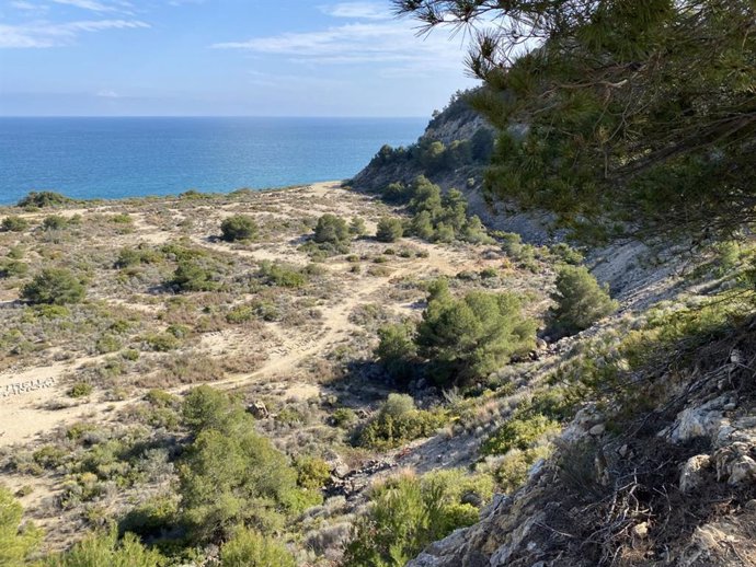 Camí de Ronda